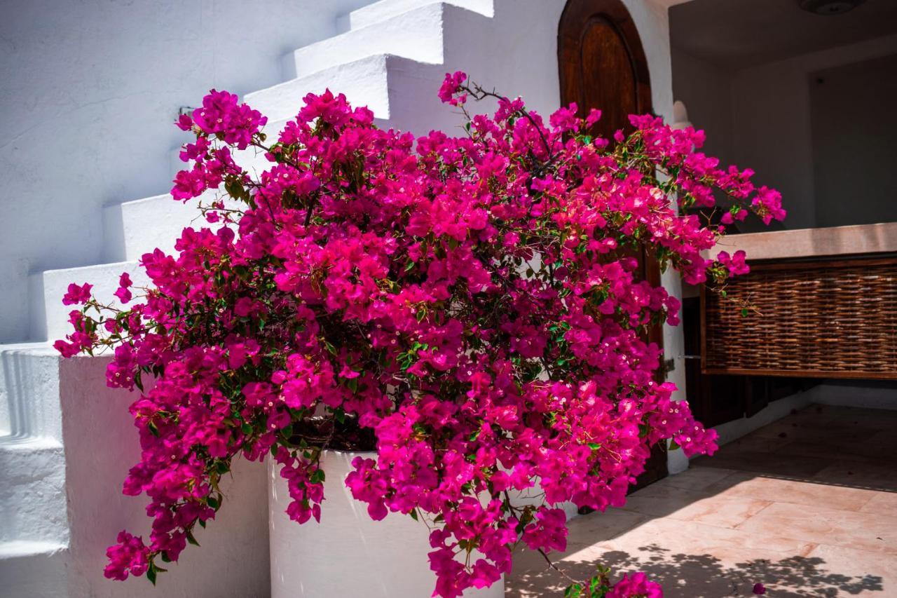 Hotel Aguamarina Boutique (Adults Only) Cartagena Eksteriør bilde